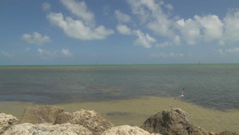 Key-West-Gaviotas-Rocas-Y-Océano-Cielo-Azul