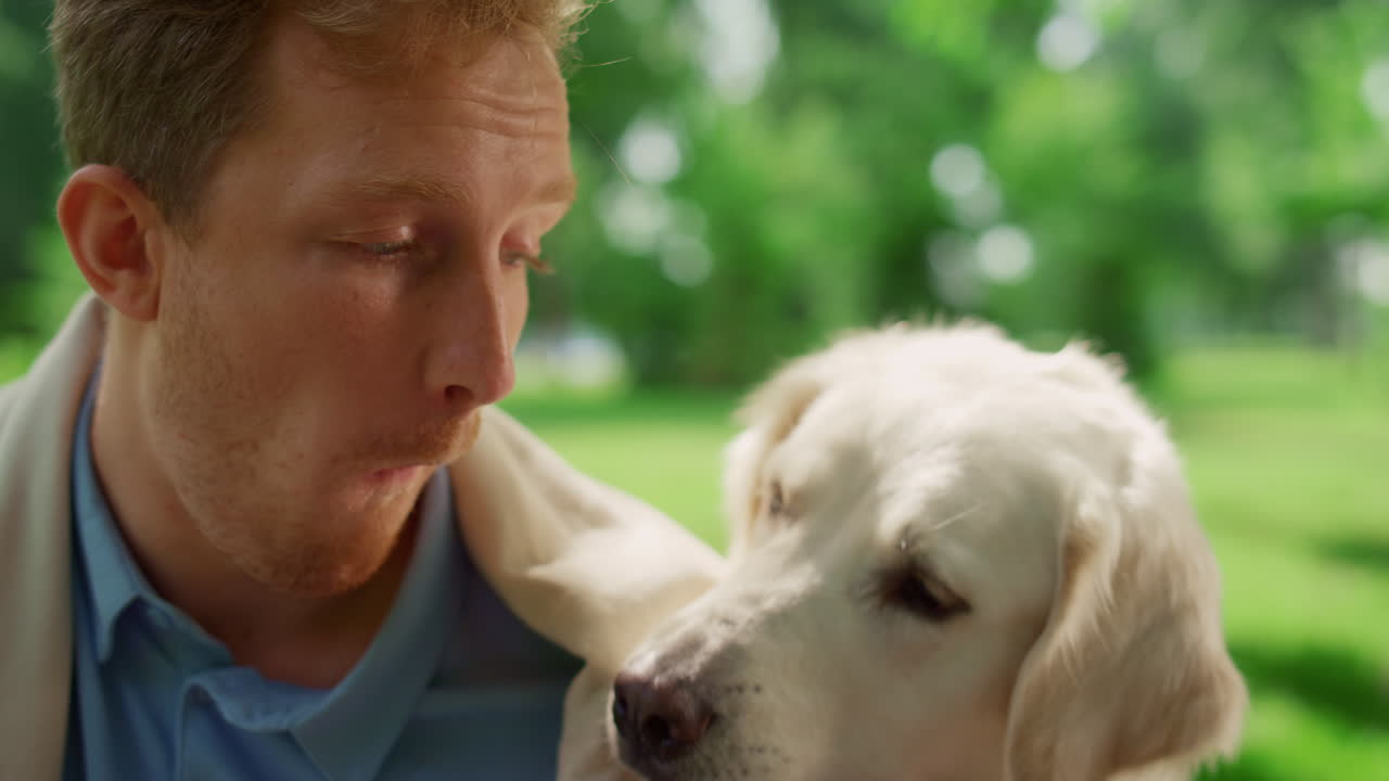 웃긴 개가  ⁇ 새를 맡고 사람을 먹는 초상화. 라브라도르가 치즈를 맛보는 클로즈업.