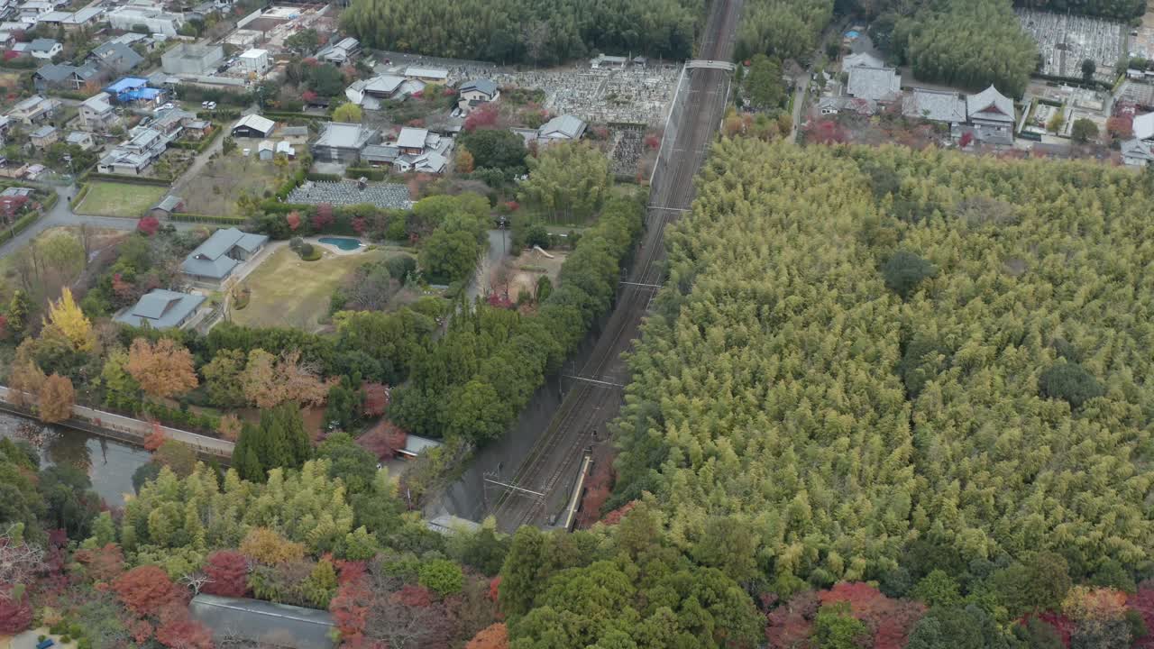 사가노 로맨틱 철도와 대나무 숲, 아라시야마, 일본