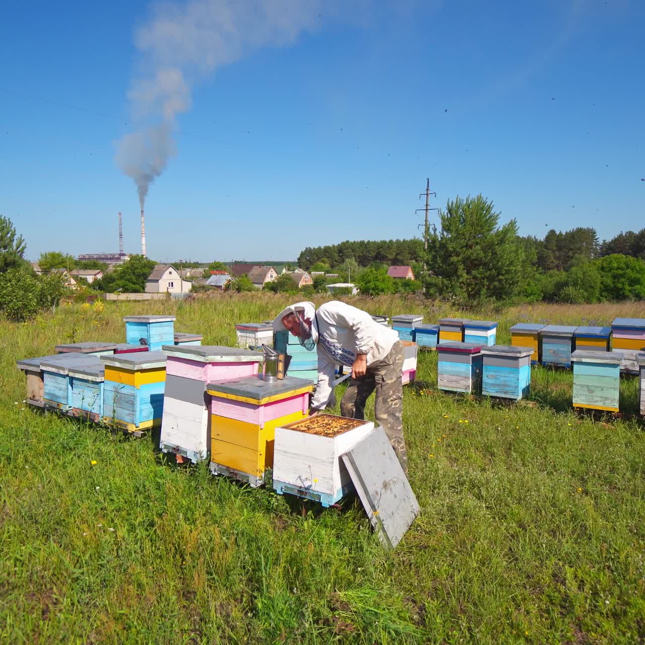 Apiary on industrial factory background. Beekeeper in protective hat works on the apiary in bright summer day. Beehives in the countryside.