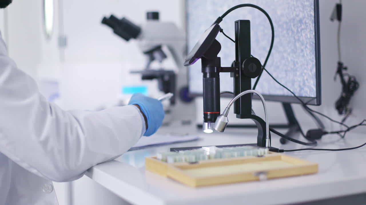 Science study, man scientist