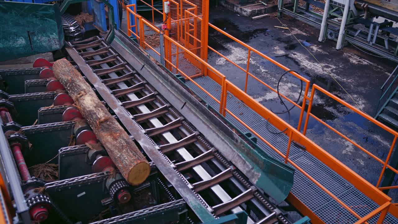 Power-saw bench. Wooden log is moving on a conveyor line on a sawmill. Process of machining logs in the sawmill machine on industrial plant.
