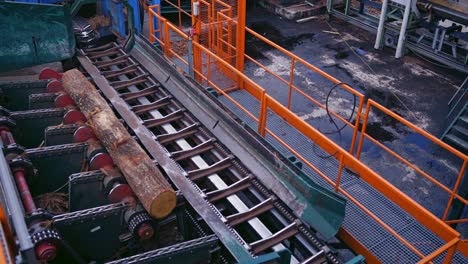 power-saw bench. wooden log is moving on a conveyor line on a sawmill. process of machining logs in the sawmill machine on industrial plant.