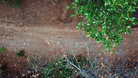 Off-Road-With-Man-Riding-Motorcycle-Driving-Across-During-Daytime