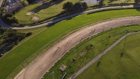 Aerial-birds-eye-shot-of-horserace-during-competition-in-summer---San-Isidro-Racecourse,Argentina