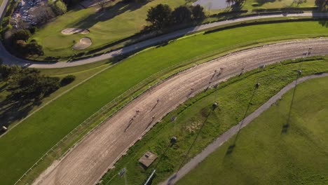 aerial birds eye shot of horserace during competition in summer - san isidro racecourse,argentina