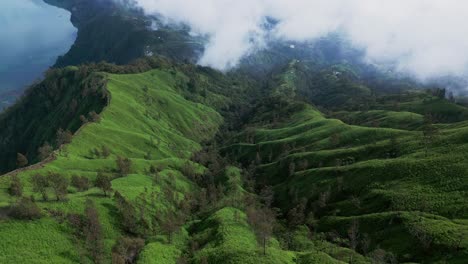 from above, a drone view shows the green emerald hill in bali bathed in warm early morning light. the natural scene captures the quiet, peaceful energy of the island’s early hours.