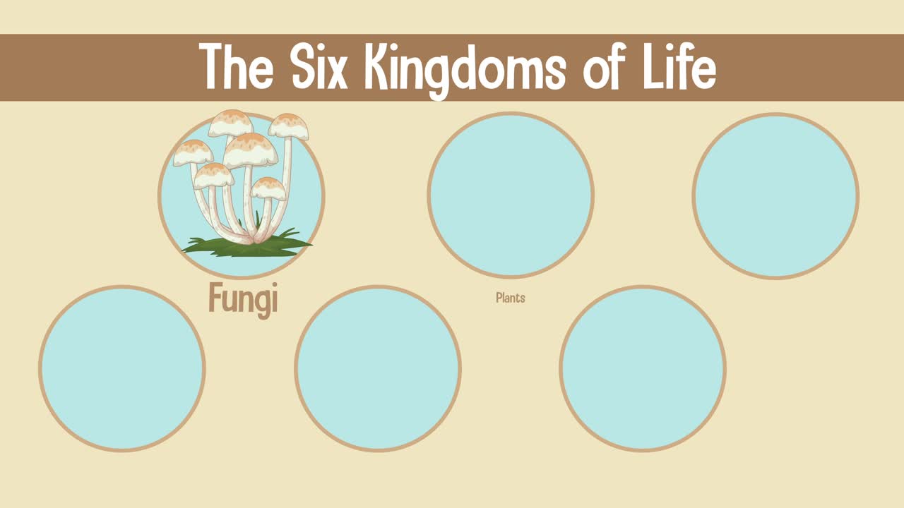 6개의 생물학적 왕국을 시각적으로 설명합니다.