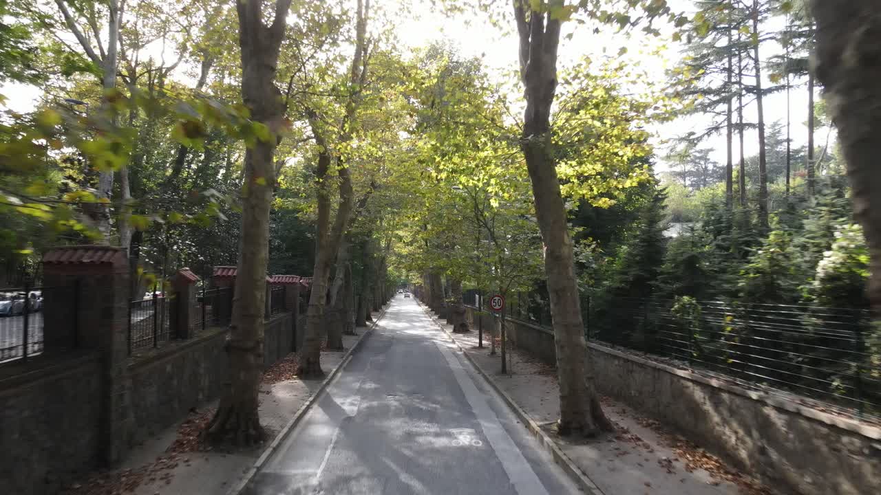 조감도 나무 도로 도시 교통 1