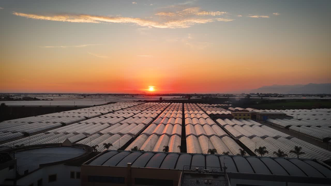Battipaglia is also known for its production of Paestum artichoke (Carciofo di Paestum IGP) and tomato Fiaschello.