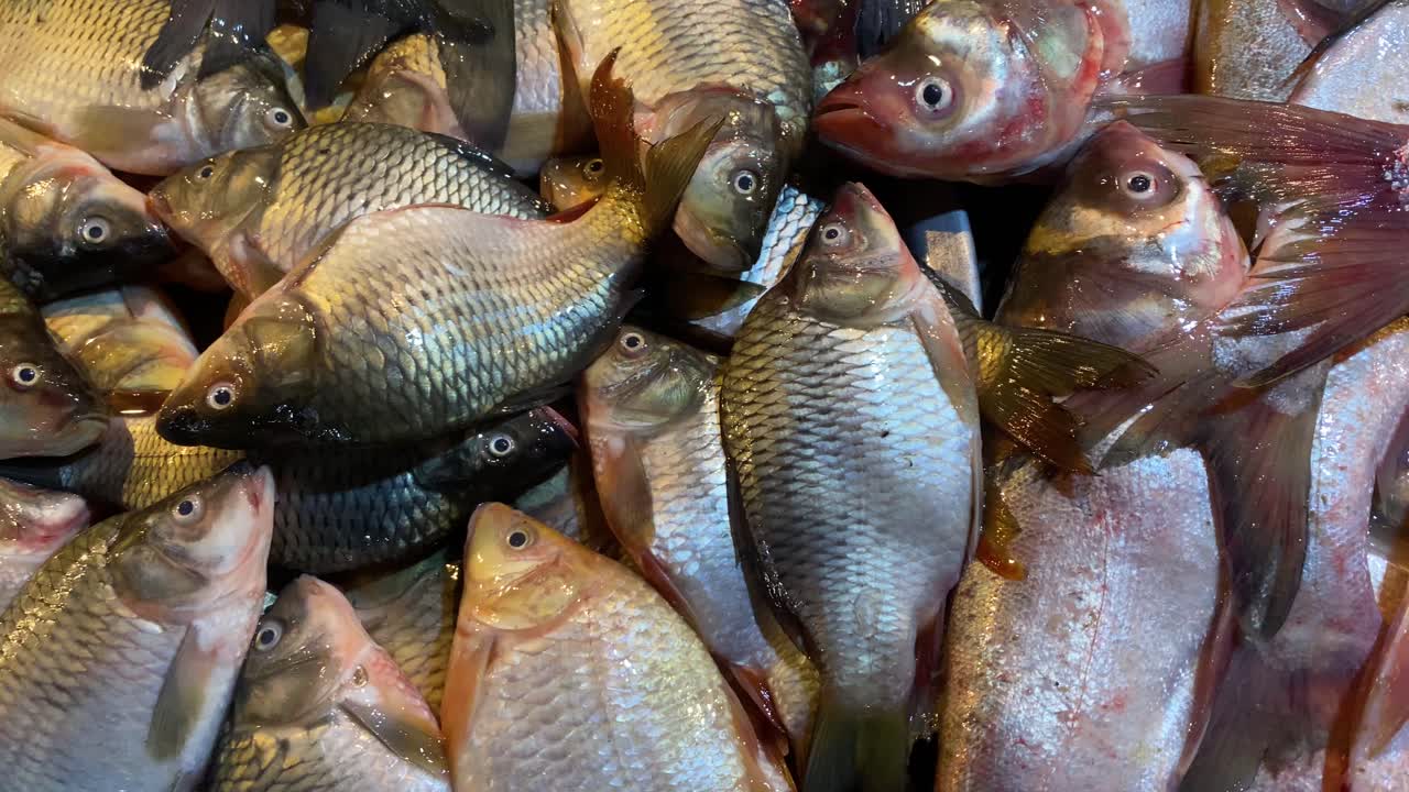 primer plano de un montón de pescado tilapia fresco en el mercado de pescado en sylhet, bangladesh