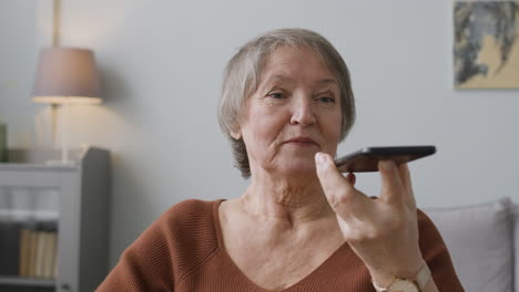 senior woman making hands free phone call sitting at home