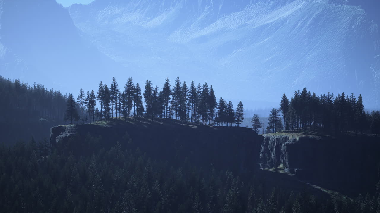 árbol de abeto de hoja perenne y montañas en un fondo en una puesta de sol después de la lluvia