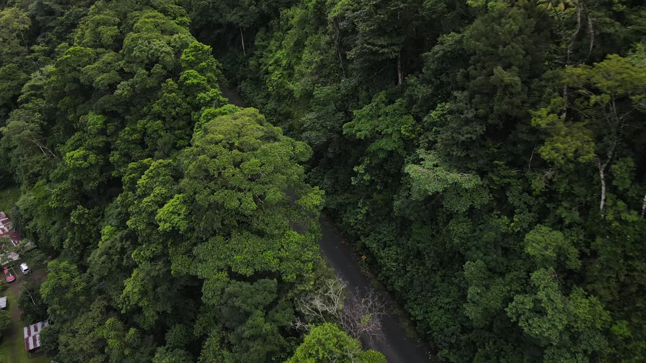 drone acercándose a la carretera que conduce a través de las espesas selvas tropicales de costa rica cerca de la fortuna