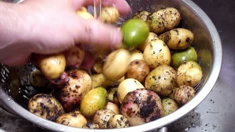 Washing-colourful-mixed-assortment-of-homegrown-potatoes-in-silver-kitchen-colander