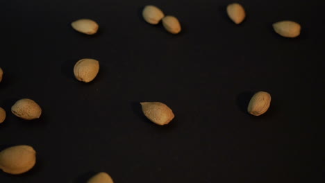 Almonds-left-to-right-Sony-a6300-100fps