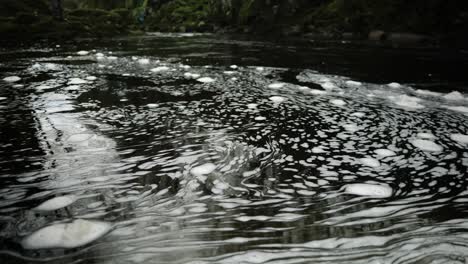 swirling bubbles of white foam floats on the surface of dark, black water in a scottish river in a hypnotic, constantly changing pattern as a shallow depth of field highlights the centre of the frame