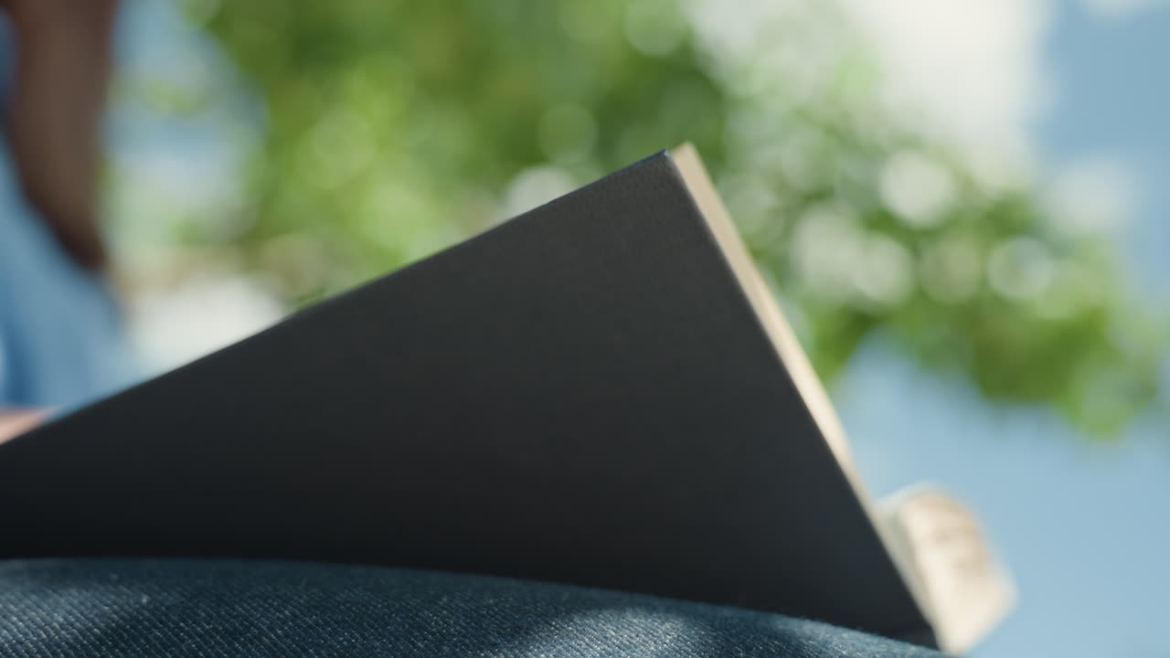 manuscript review amid natural park surroundings, engaged in careful editing of pages during outdoor sunshine, focus on refining manuscript pages while immersed in peaceful park environment