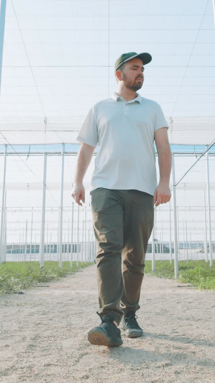 Farmer walking through watermelon greenhouse