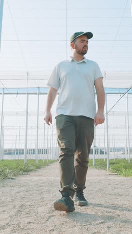 farmer walking through watermelon greenhouse