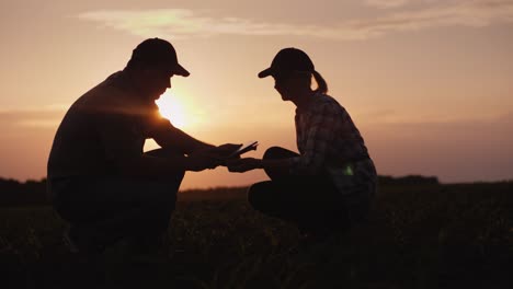 una familia de agricultores que trabajan en el campo por la noche al atardecer. sentarse y explorar los brotes jóvenes