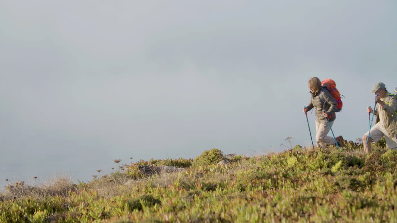 tiro largo de un excursionista senior caminando con bastones de trekking, luego deteniéndose y hablando juntos