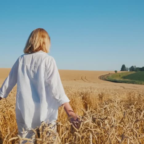 a young woman walks between endless wheat fields