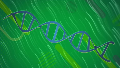 animation of dna strand and data processing over glowing light trails