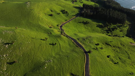 área de karitane en nueva zelanda vista sobre el sitio histórico de huriawa península y bahía, inclinación aérea hacia arriba