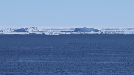 Orcas-hunting-in-front-of-icebergs-in-Antarctica