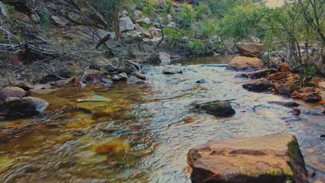 Disparo-De-Drones-De-Piscinas-De-Caramelos-En-El-Oeste-De-Sydney,-Australia-1