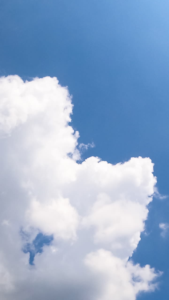 Fluffy cotton clouds quickly changing shape in the atmosphere. Summer sky with clouds from low perspective. Timelapse. Vertical video