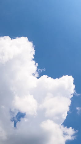 fluffy cotton clouds quickly changing shape in the atmosphere. summer sky with clouds from low perspective. timelapse. vertical video