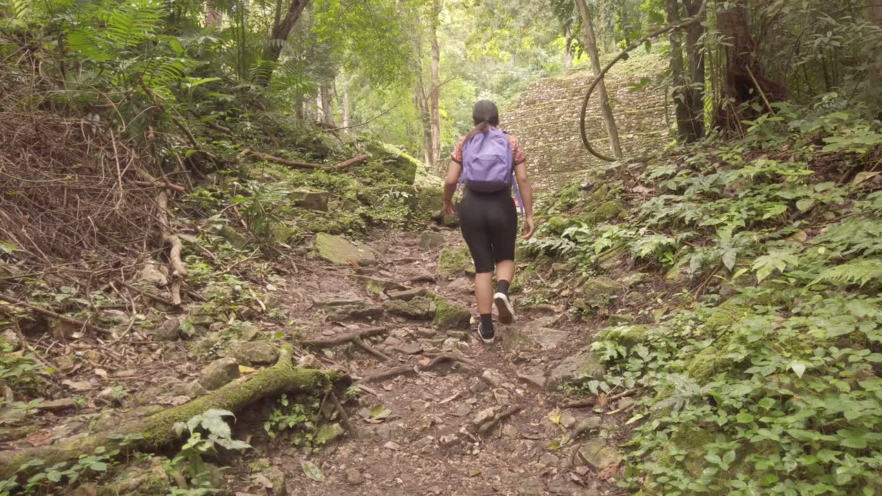 Exploring walking in the jungle, Mayan zone, Mexico