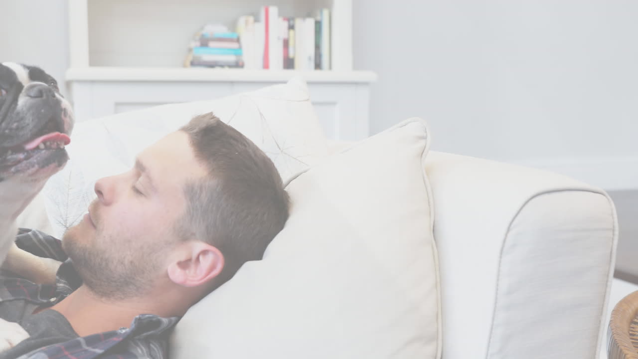 개와 함께 백인 남자에 대한 데이터 처리의 애니메이션