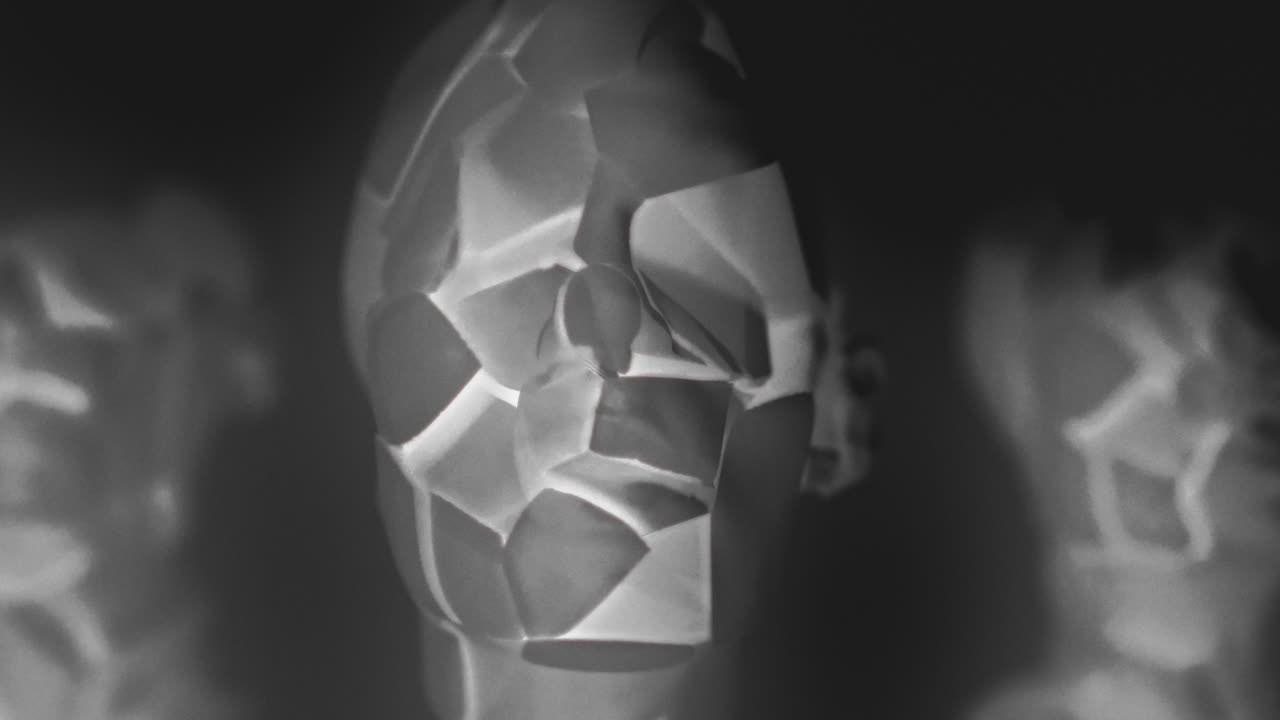 Broken mannequin head shells in xray