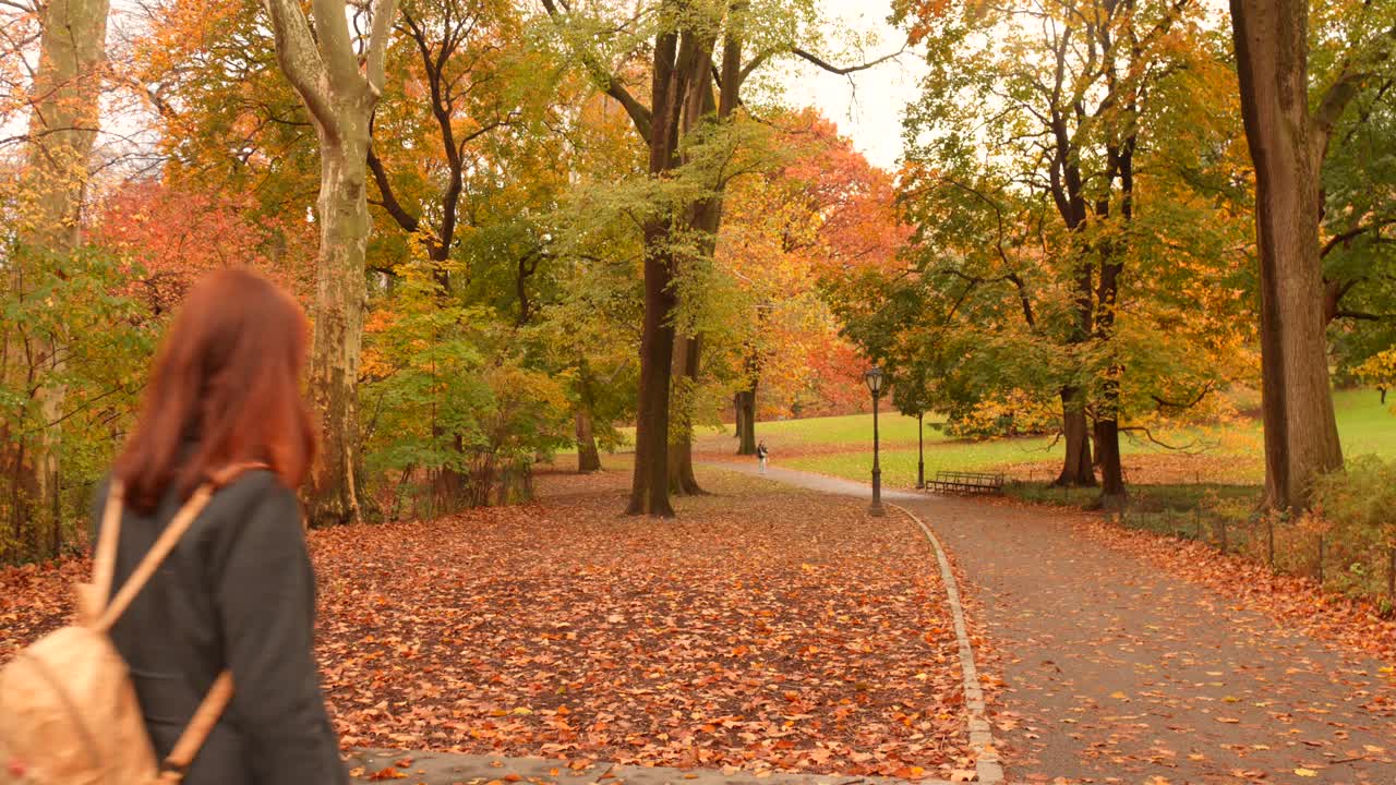 Central Park in fall with colorful leaves and serene walking paths