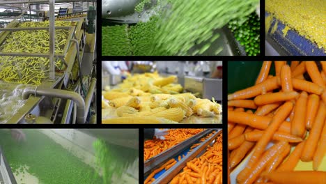 procesamiento de hortalizas en la industria alimentaria, pantalla múltiple