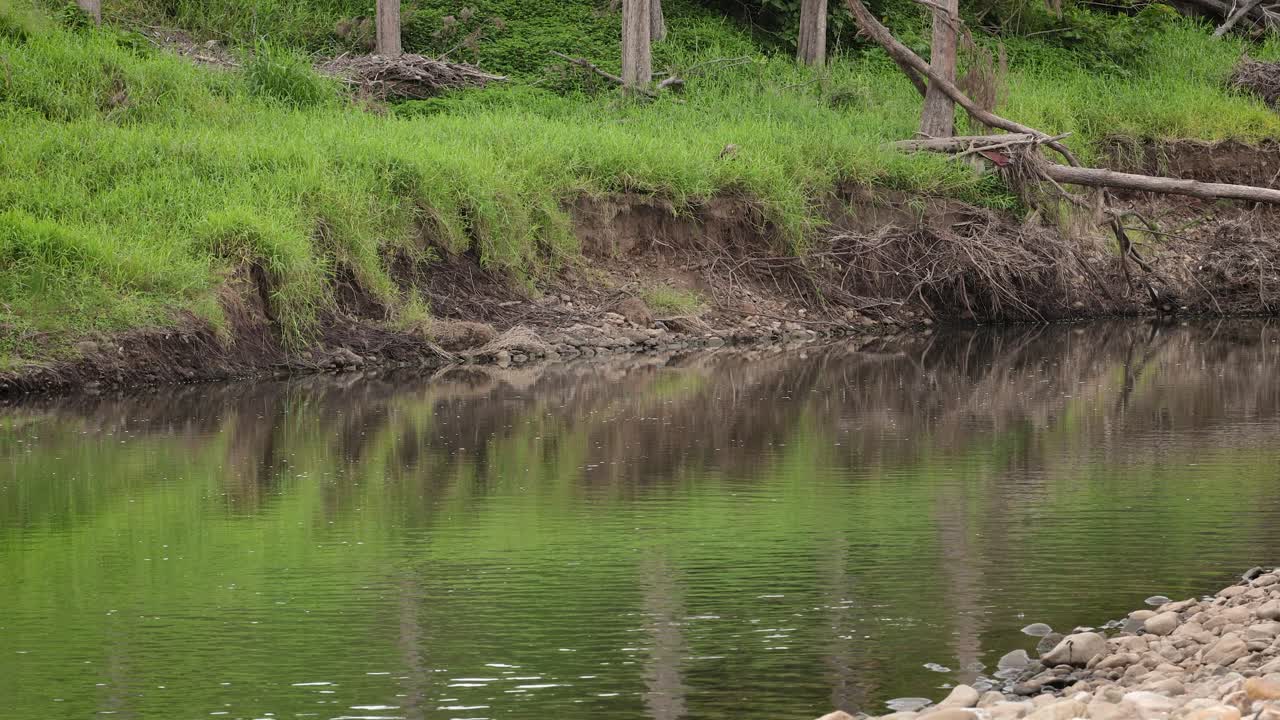 Pengambilan gambar jarak menengah erosi yang disebabkan oleh hujan dan banjir di sepanjang Sungai Coomera di Oxenford, Gold Coast, Australia
