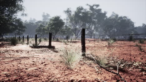 Old-rural-barbed-wire-fence-with-wooden-posts