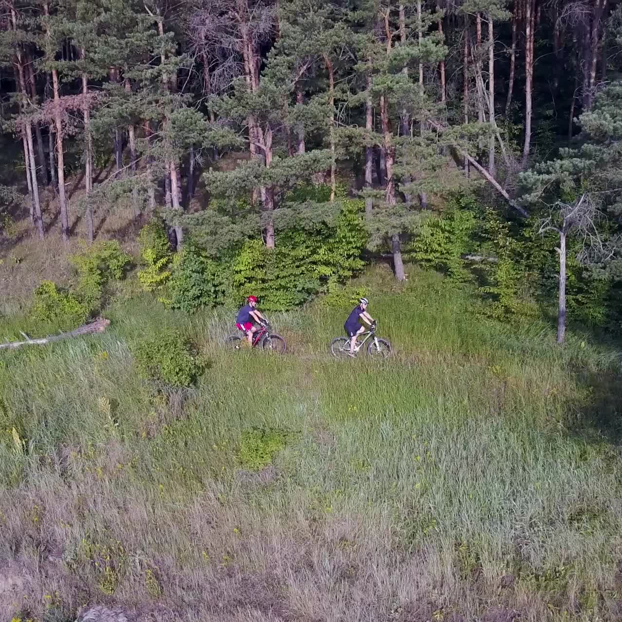 hombres montando bicicletas en la naturaleza