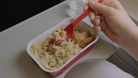 close up clip of woman eating airplane dinner rise with vegetables by plastic fork against window