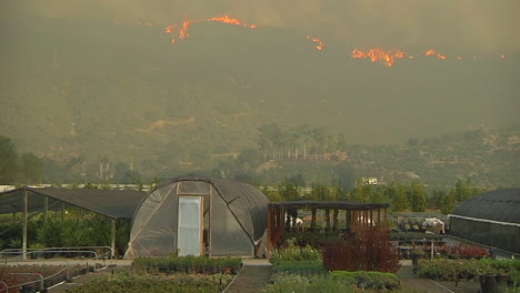 the thomas fire burns out of control in the hills behind carpenteria california