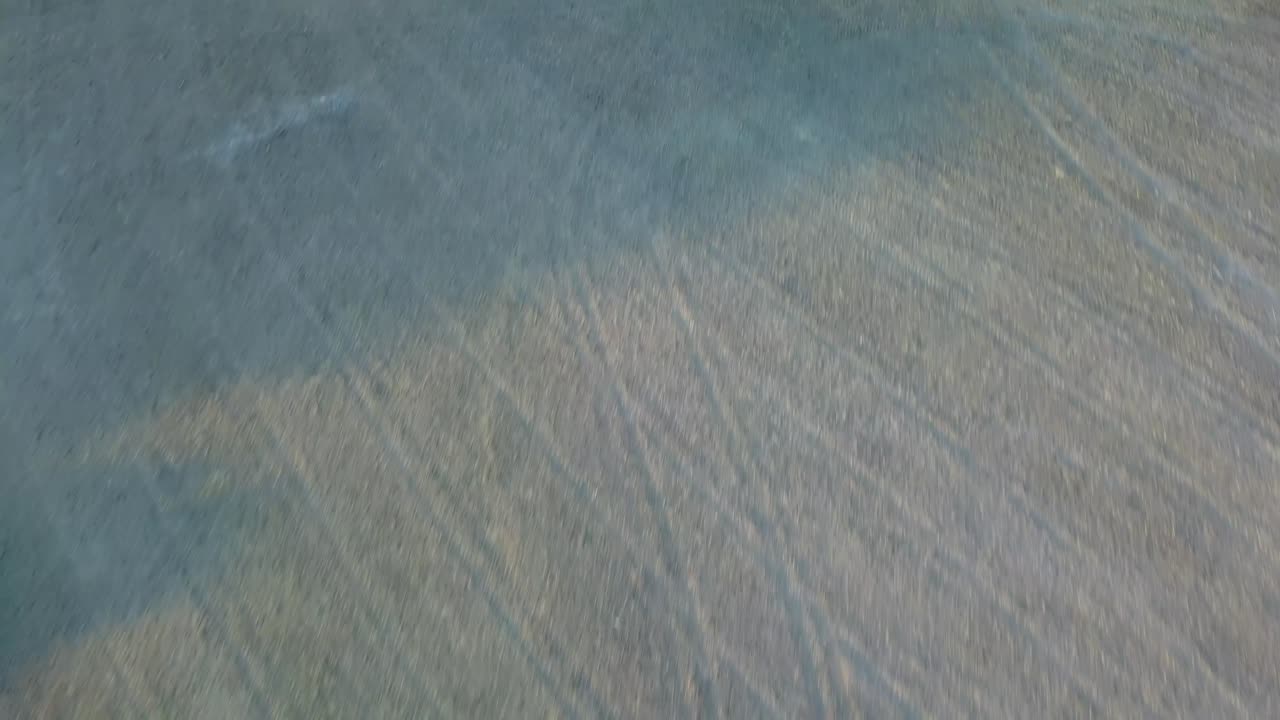 동부 일리노이에서 수확된 콩밭의 공중 드론 보기