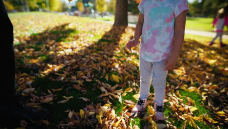 girl playing in autumn leaves