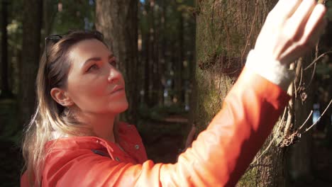 an attractive woman admires conifer cones in forest