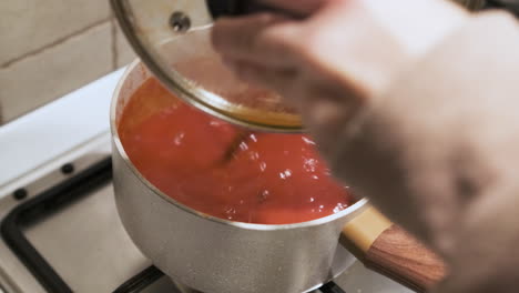 lady cooks delicious tomato sauce with basil turning it with wooden spoon while cooking on the stove - static back view shot