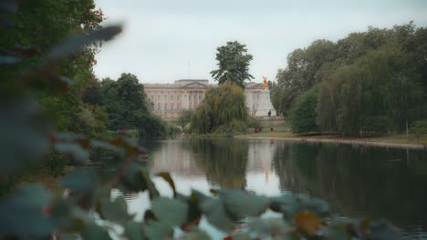 buckingham palace behind the lake in st james park, london, uk