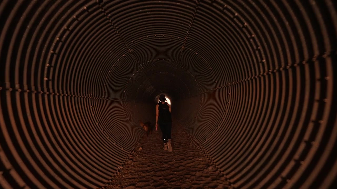 Vue de dos d'une femme et d'un chien dans un tunnel de drainage métallique en spirale, sur le sentier de randonnée White Owl au Nevada, États-Unis.