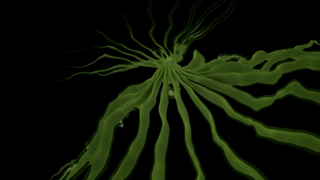 fondo abstracto forma orgánica giratoria 2